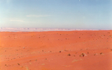 Wüste-4.jpg
